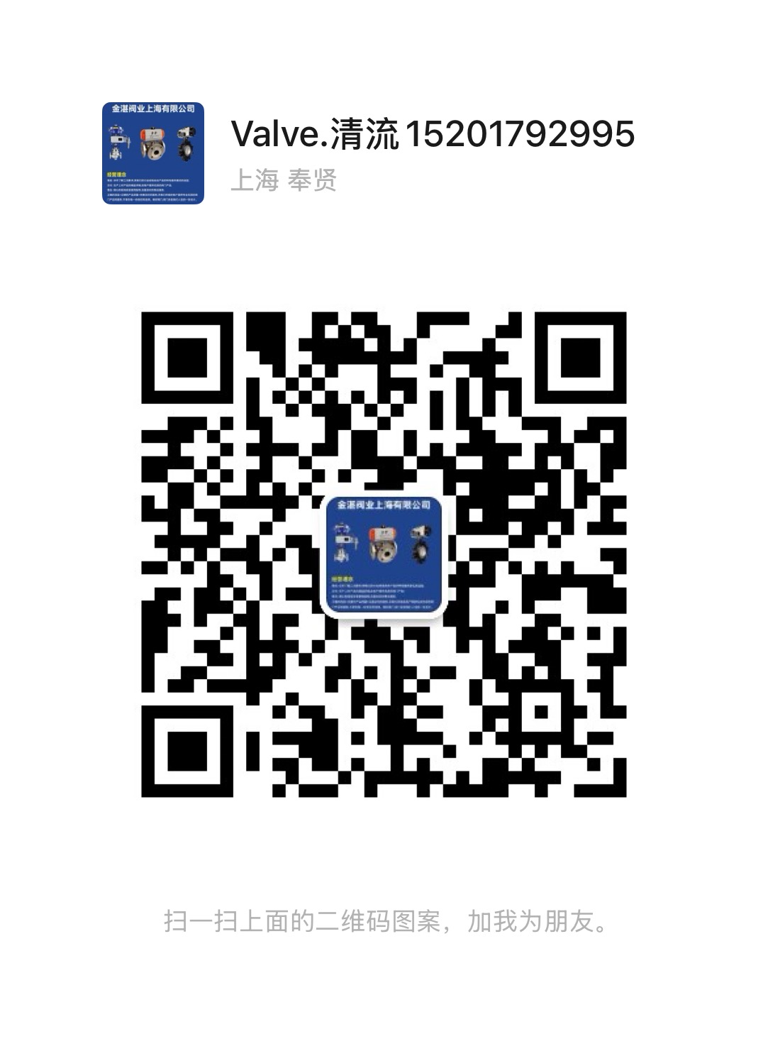 金湛閥業(上海)有限公司